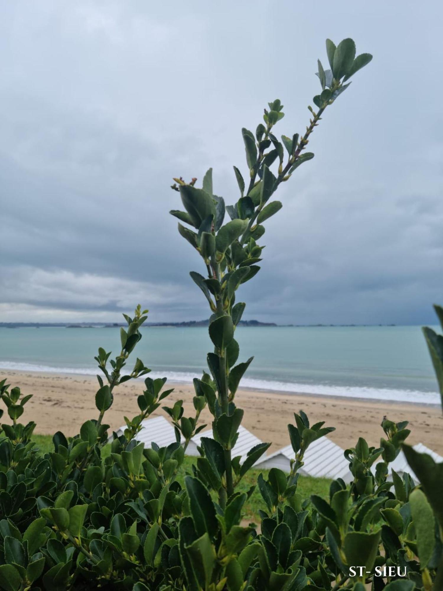 Brise Marine Du Prieure Spacieux Lumineux A 2 Min De La Dinard